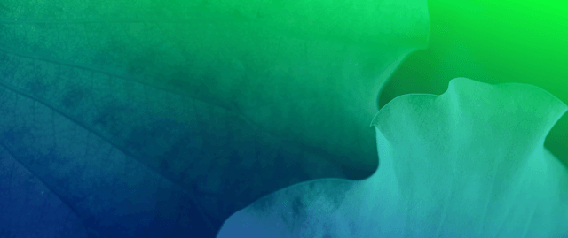 Article thumbnail cover