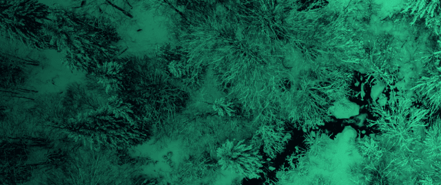 Article thumbnail cover