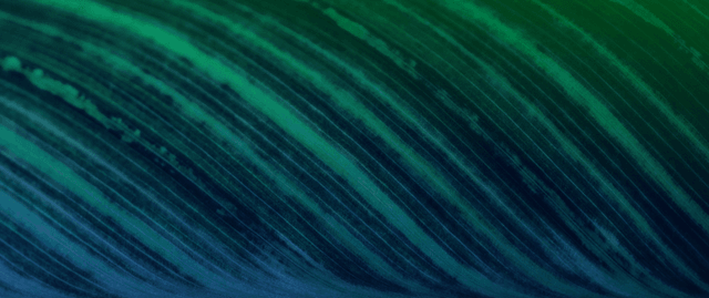 Article thumbnail cover