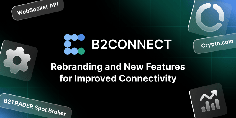 B2CONNECT liquidity hub