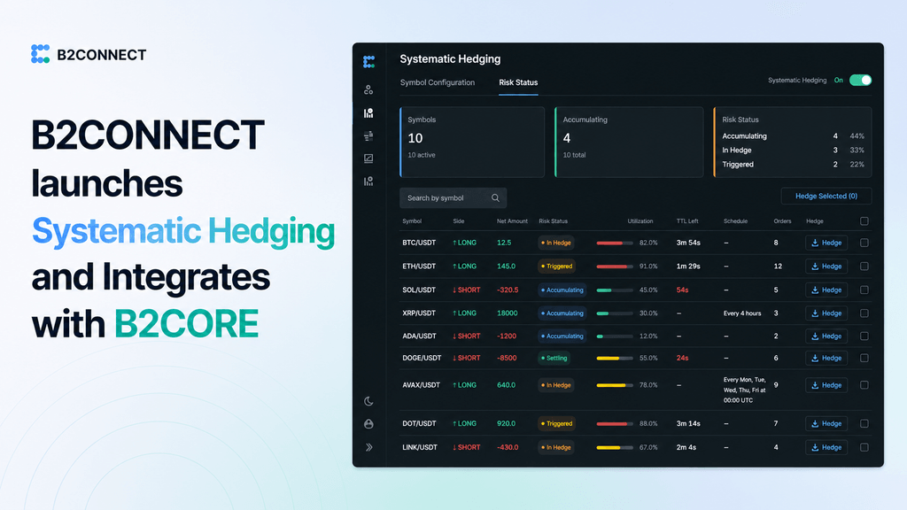 B2CONNECT systematic hedging.png