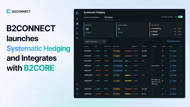 B2CONNECT systematic hedging.png