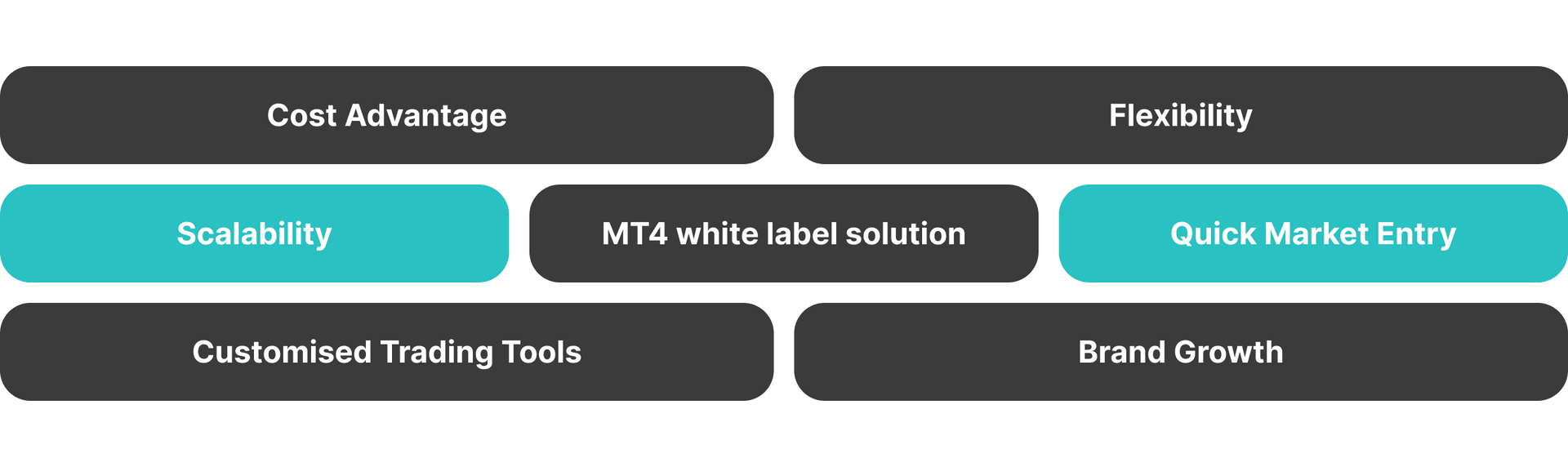 Benefits of MetaTrader* White Label.