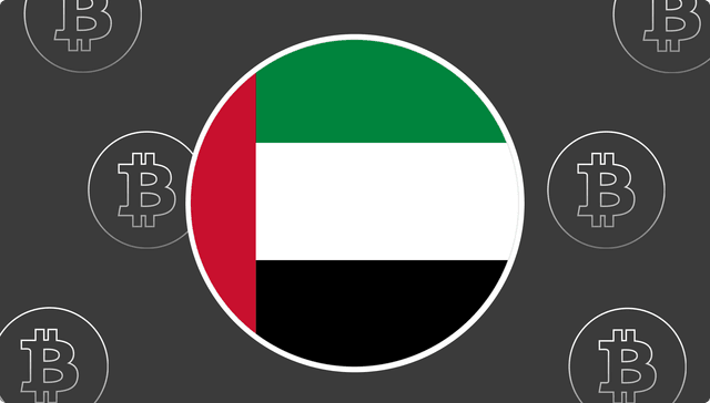  Dubai To Accept Crypto for Government Fees