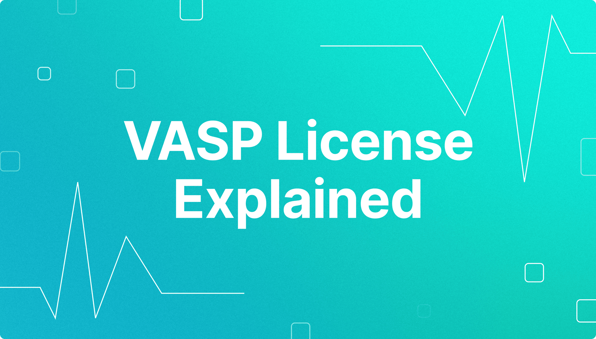 vasp license