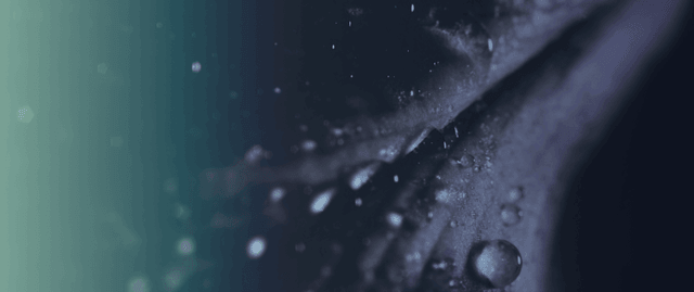 Article thumbnail cover