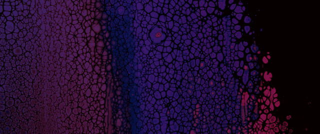 Article thumbnail cover