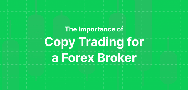The Importance of Copy Trading for A Forex Broker.