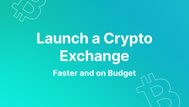 how to launch a crypto exchange fast and on a budget