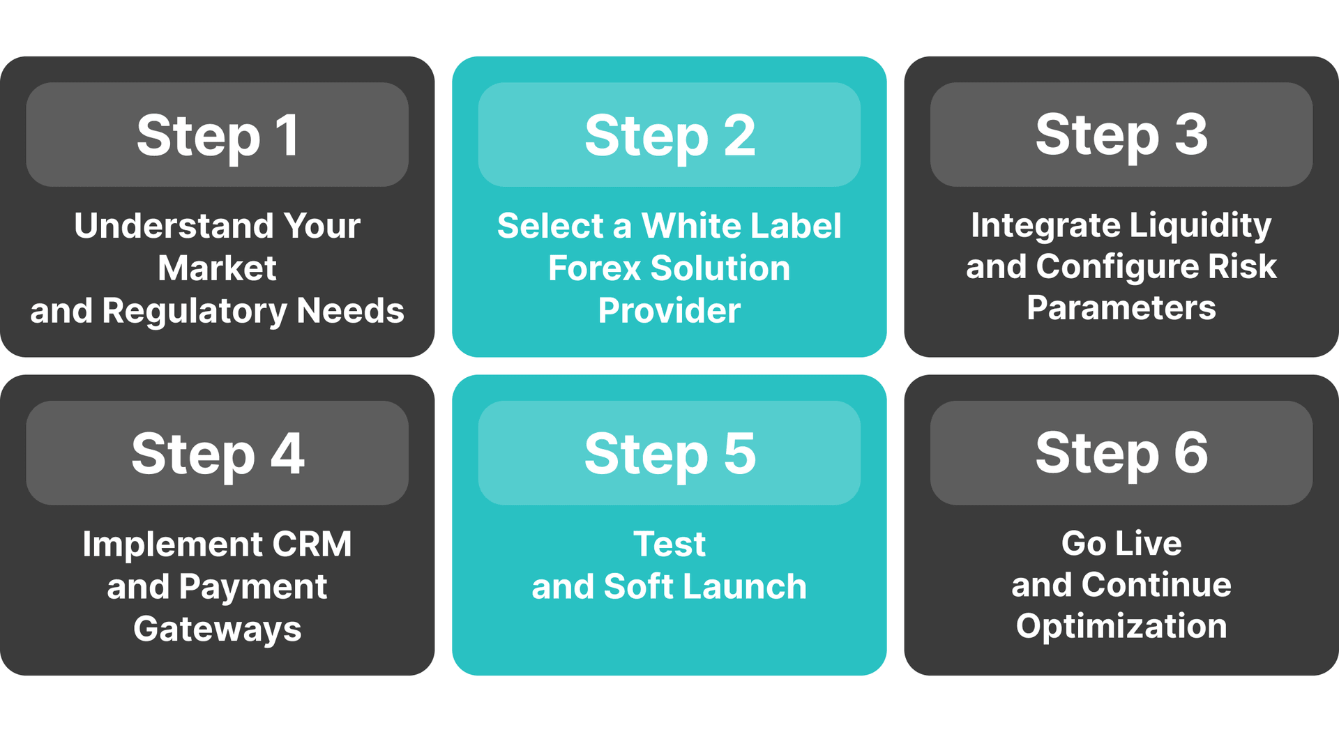 steps to launch a white label forex brokerage.png