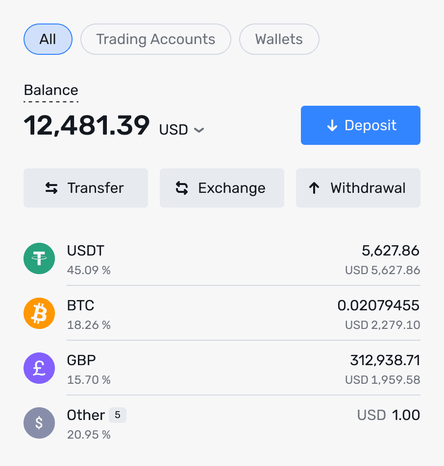 B2CORE balance overview with trading accounts and wallets