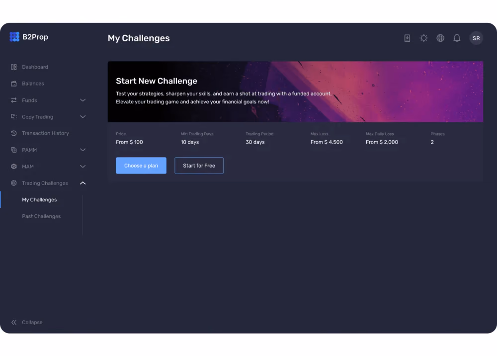 My challenges
