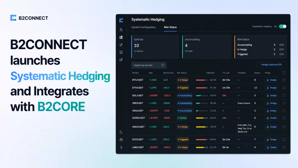 B2CONNECT systematic hedging.png