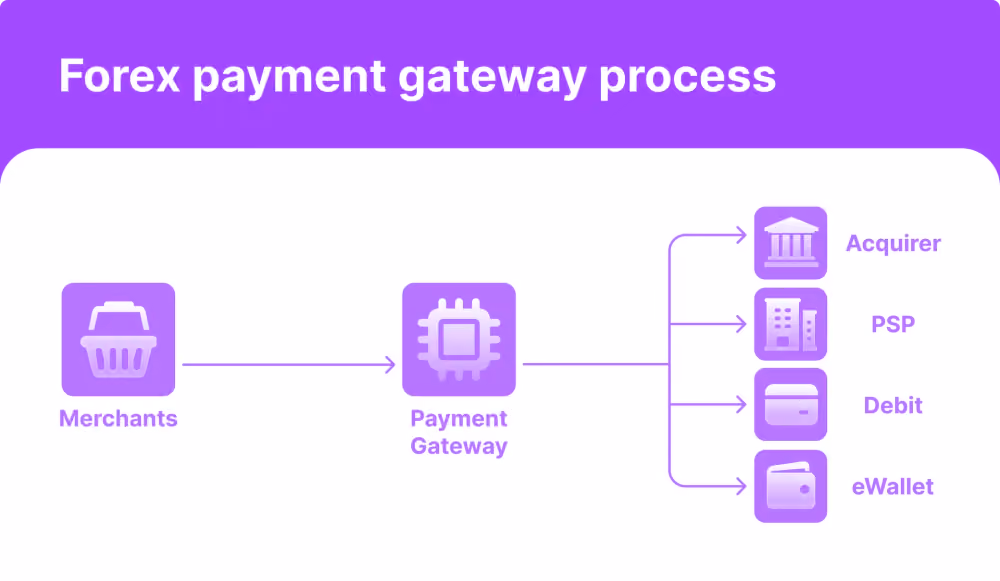 Forex payment gateway process