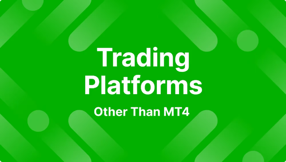 best MT4 alternatives