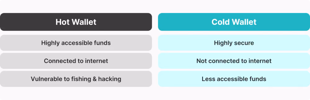 hot wallet vs cold wallet