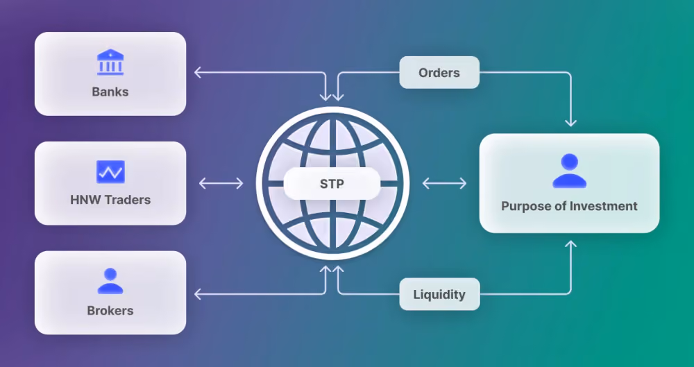 STP Working Principles