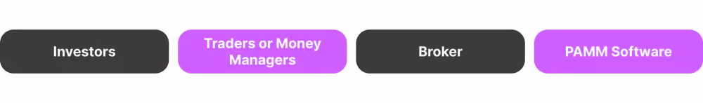 Elements of the PAMM Ecosystem