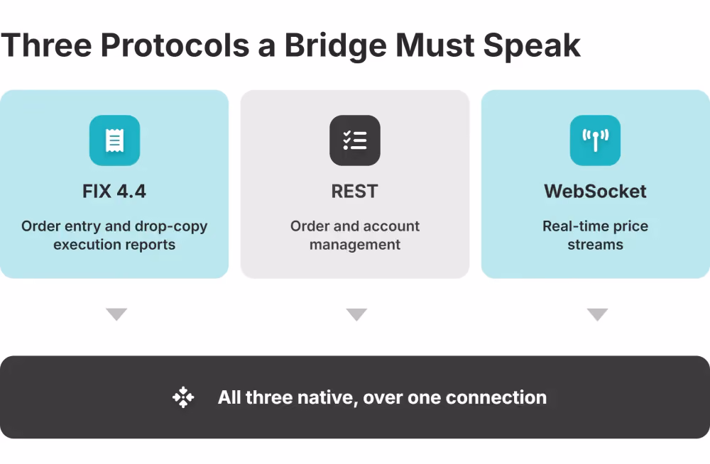 liquidity bridge protocol support fix rest websocket