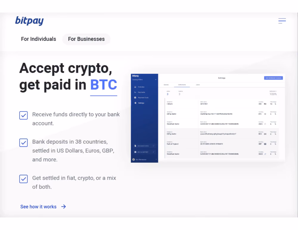 BitPay wallet solution