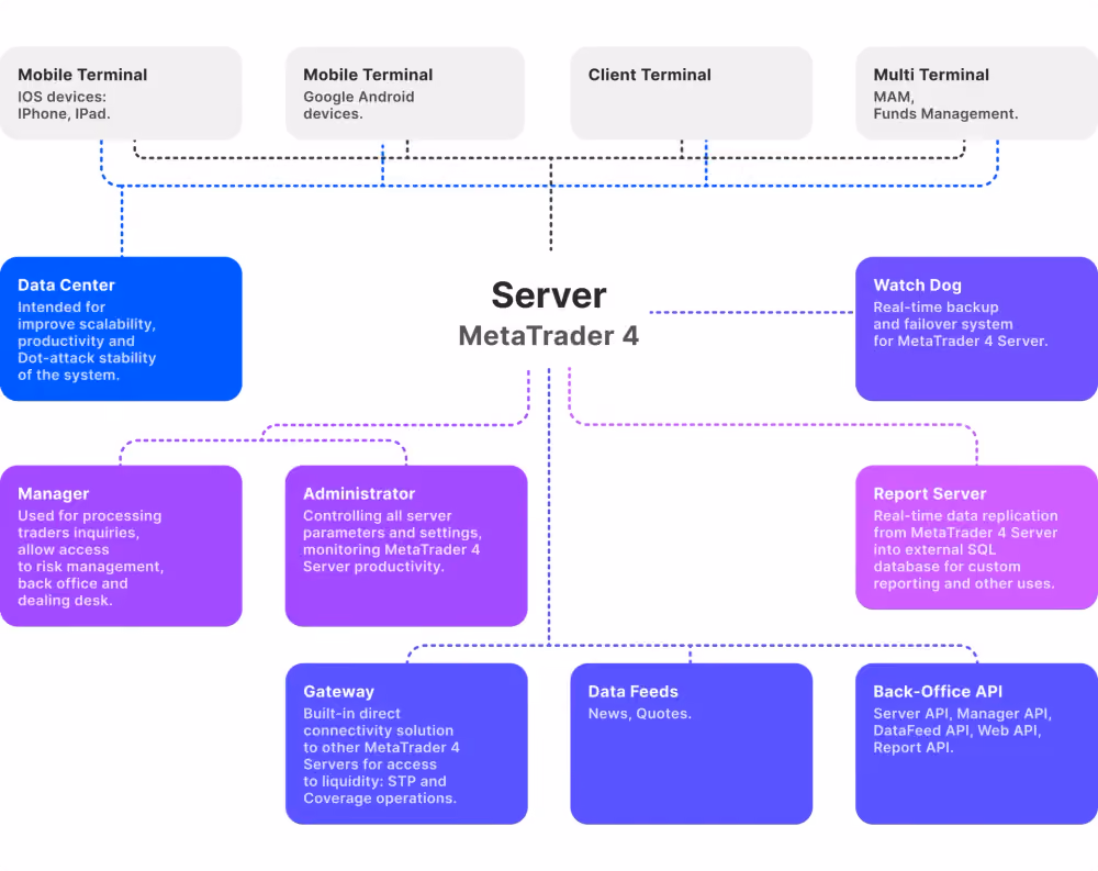 MT4 server structure scheme