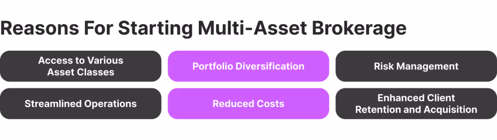 Reasons to Start a Multi-Asset Brokerage