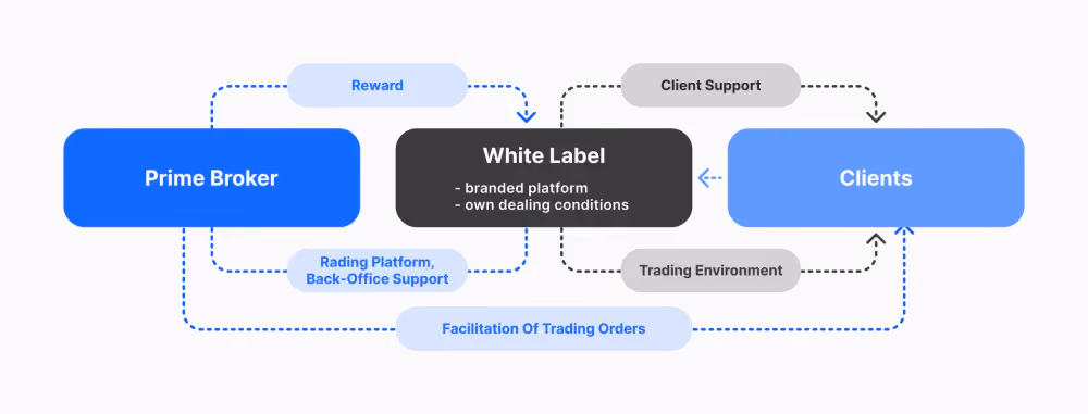 white label forex broker model