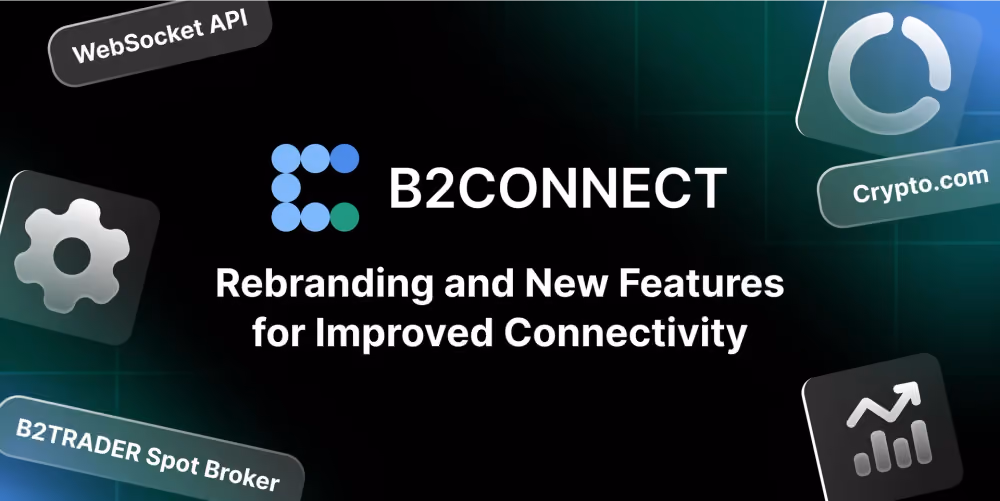 B2CONNECT liquidity hub