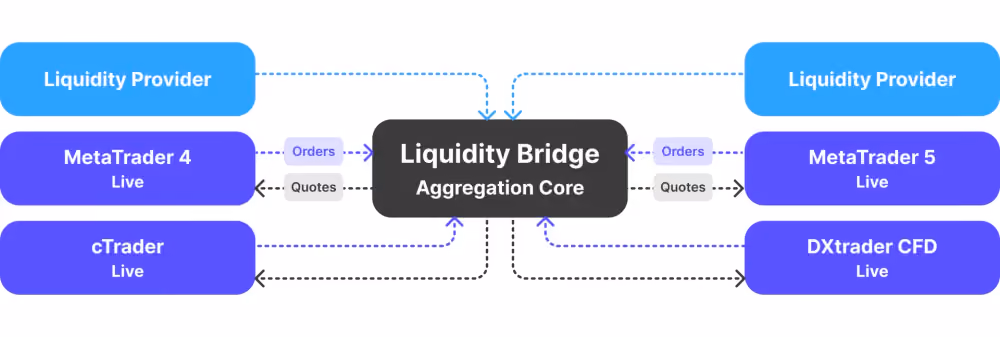 principles of operation of liquidity bridges