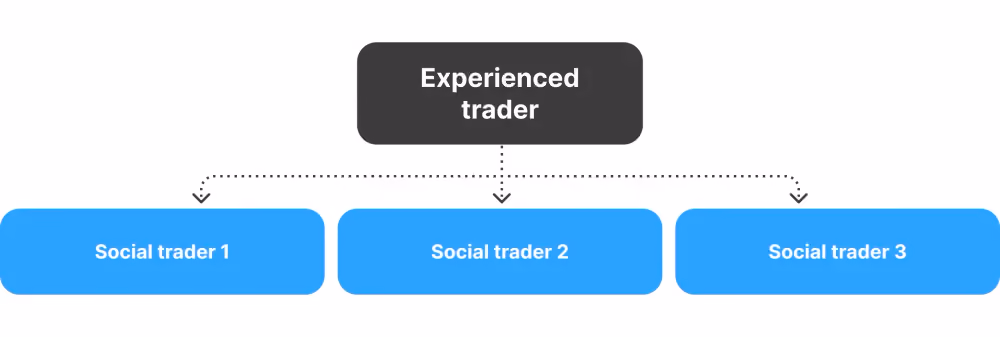 What is Social Trading