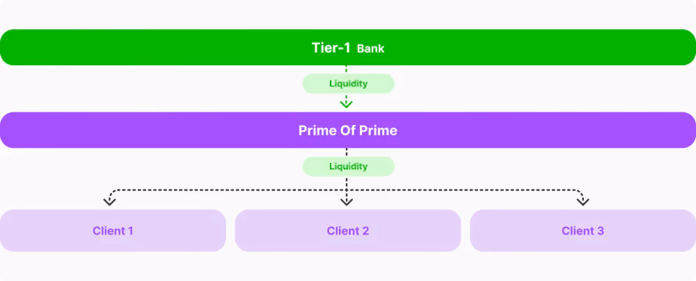 How PoPs Operate as LP Partners