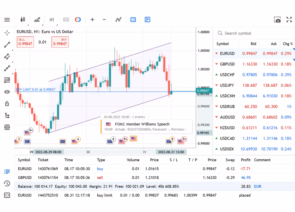 metatrader interface