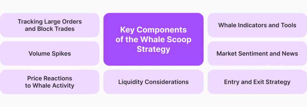 Key Components of the Whale Scoop Strategy