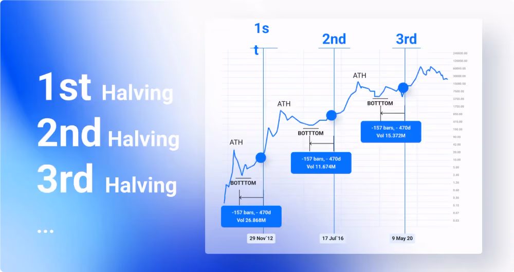 BTC Halving