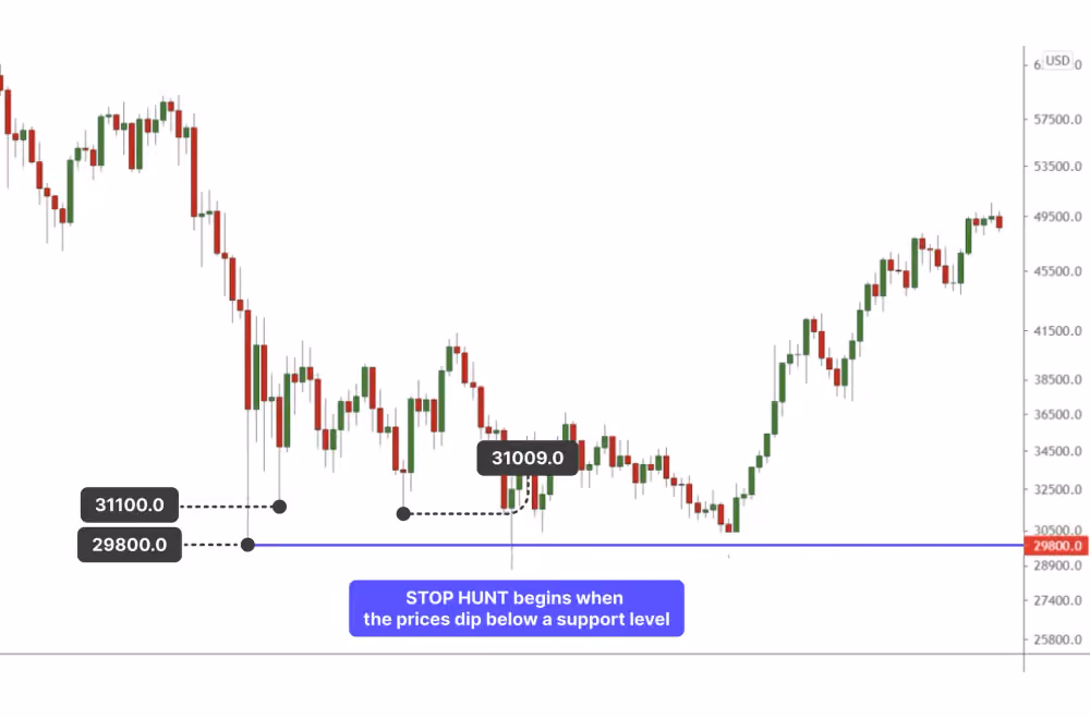 Stop-Loss Hunting Concept