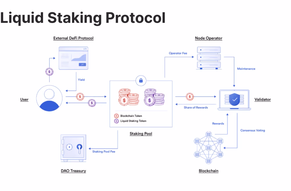 how liquid staking works