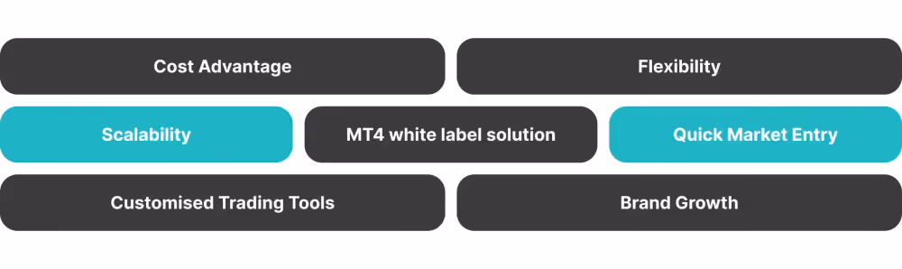 Benefits of MetaTrader* White Label.