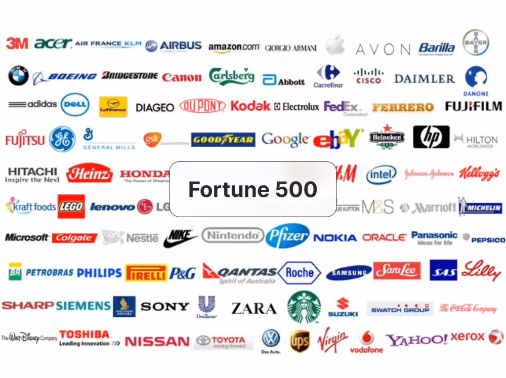 Fortune 500 companies