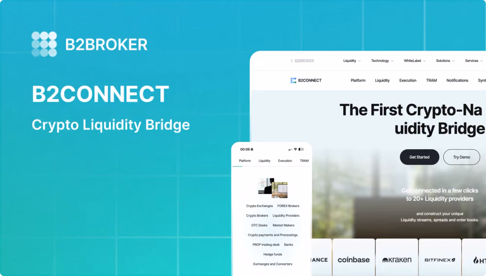 B2CONNECT liquidity bridge