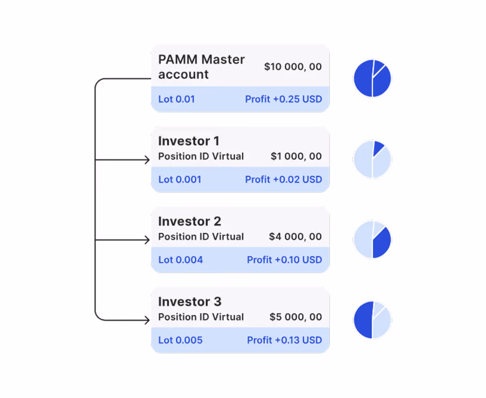 PAMM in B2COPY